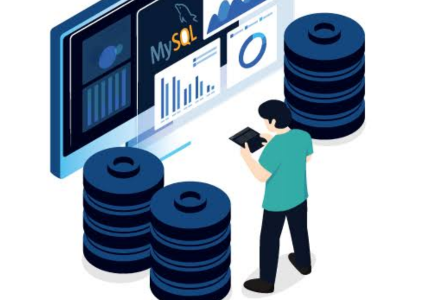Database Management Services